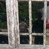 kaaz07252008