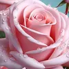 tuconsentida_28