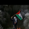 free.palestina1277