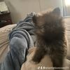 jrthegoat1118