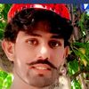shap44555