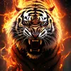 phng.v.thanh4