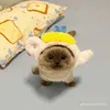 tiktoklyacc