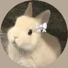 official_shiazu