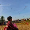 nguyenphat2002.comvn