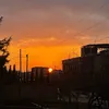 ibrog_munya