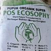 pos_ecosophy