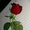 mrsusama2114