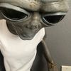 graylien82