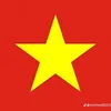 naxing_yew