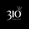 teamatus.310