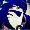 user31669352687081