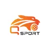 Qsport Pickleball