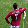 12p8h