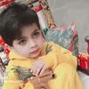 ibrahim.saqib85