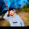 pi88568