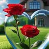 amir.hussain70902