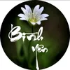 trn.h4854