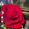 user3420676107702
