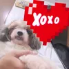 migueli2guerero