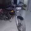 apis5715