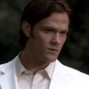 siredbysamifer
