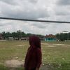 cill_826