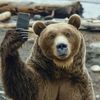 SzékelyBear