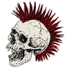 punkihoygorshoksigma