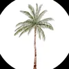 abthal_70