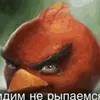 volleyballnm7
