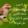hilaly499