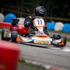 darena.wkarting