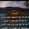 user7194869381288