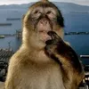 i_am_thinking1