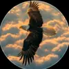 saleem.haqani6