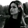 ziianb.a.lqiase