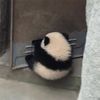 meii美