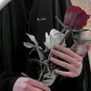 sho_5475
