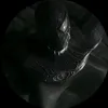 ykwyzss