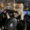 aisha.badar5
