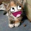 aayyaayyaa_