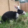 eatsleepbinkyrepeat