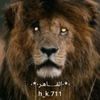 🦅.*.الـقـ....ـاهــر.*.🦅