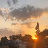 emillerwallis11