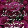 eman.mousa342