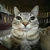 ismail.mimoun8