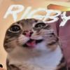 just_some_guy713