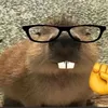 itz_capybara