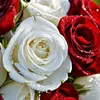 am.khalid24